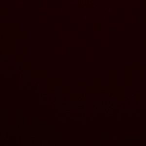 Meet your Posher, Jacoby